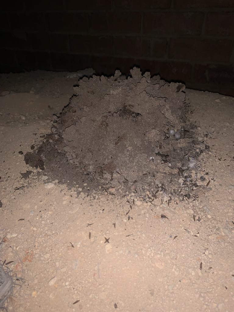 Soil mound under a house found during an inspection